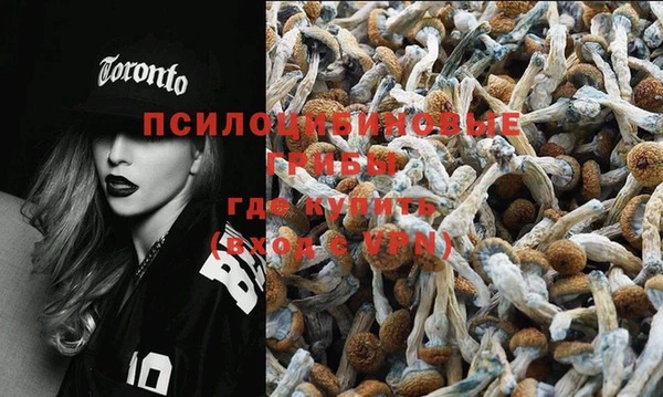 тгк Алексеевка